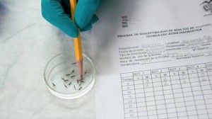 MALARIA